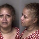 Janee Williams Misuse Of 911 System Telephone