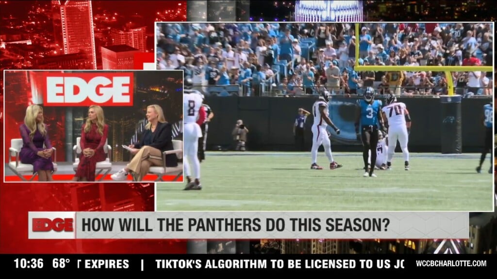 How Will The Panthers Do This Season?