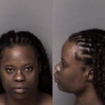 Suzette Wright Driving While Impaired Failure To Reduce Speed