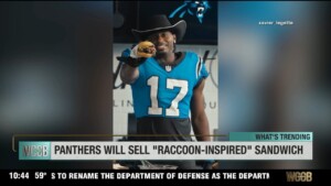 Panthers Will Sell ‘raccoon Inspired’ Sandwich