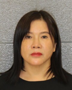 Ai Zhang Larceny By Employee