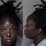 Deborah Brown Possess Methamphetamine