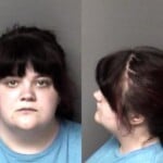 Callisra Stone Larceny Employee