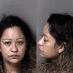 Ana Cuevas Gonzales Larceny Dwi Open Container No License Failure Of Lane Control Immigration