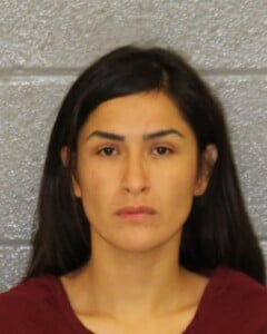 Karen Rodriguez Assault With A Deadly Weapon Interfere Emergency Communication Breaking Andor Entering