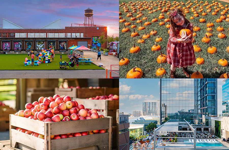 Fall Things To Do