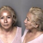 Carmela Armengol Domestic Violence