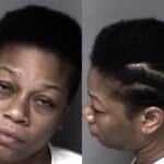 Shonkita Mcdowell Misdemeanor Domestic Violence