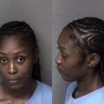 Jaya Ashley Larceny