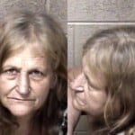 Lisa Bonaguro Failure To Appear In Court