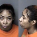 Deanna Daniels Probation Violation