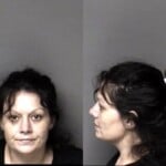 Elizabeth Fite Larceny