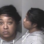 Kristina Johnosn False Police Report