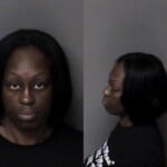 Kiesha Brice Failure To Appear Misdemeanor