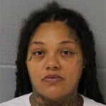 Leiana Grimes Felony Larceny Habitual Larceny