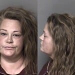 Suzanne Dale Dwi Open Container After Consuming Alcohol 1st