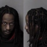 Travis Miller Habeas Corpus