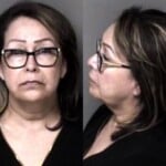 Aniceta Castillorosales Misd Crime Of Dom Violence