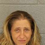 Melinda Rice Breaking Or Entering