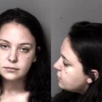 Emily Couillard Dwi Child Abuse Reckless Driving To Endanger Dwlr Impaired Rev Seat Belt Passenger 16 Fail Maintain Lane Control