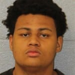 Michael Johnson Misdemeanor Larceny