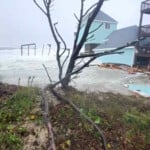 Photo by Steven Gwin