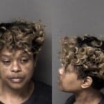 Murhonda Stamey Assault Government Official Resist Public Officer