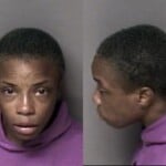 Brenia Brown Resisting Public Officer License Expired Operators