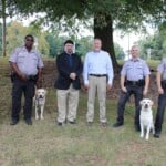 All High School Dogs