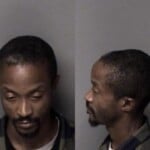Antonio James Larceny Motor Vehicle