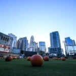 Charlotte Knight Pumpkin Palooza