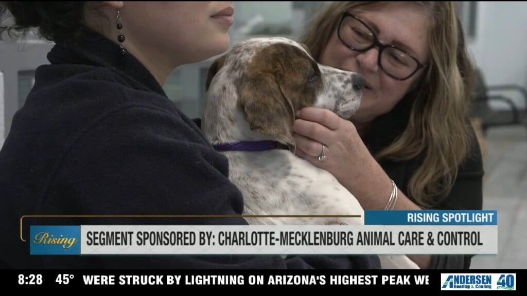Rising Spotlight: Cmpd Animal Care & Control W/subaru South Charlotte