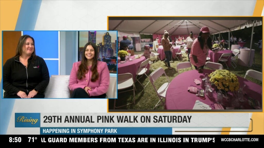 More Than Pink Walk