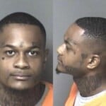 Daqualin Mcduffie Habeas Corpus