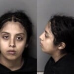 Brigette Garciadiaz Misd Crime Of Dom Violence