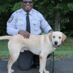 Chief2