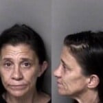 Dawn Smith Failure To Appear Felony