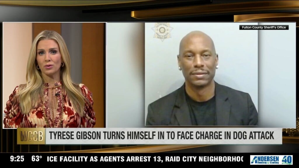 Tyrese Gibson Turns Himself In To Face Charge In Dog Attack