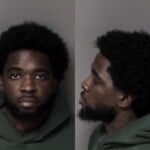 Edward Gales Crime Of Domestic Violence