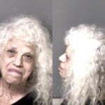 Michele James Assault Simple