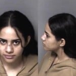Allie Avendo Misd Crime Of Dom Violence