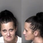 Ashli Lanier Larceny Misdemeanor