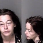 Rose Martin Misd Crime Of Dom Violence Injury Personal Property