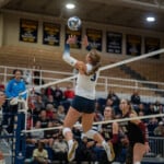 Volleyball Vs. Lenoir Rhyne