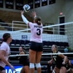 Wingate Vs Carsonnewman Vb