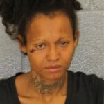 Yulissa Rodriguez Breaking And Etering Felony Conspiracy