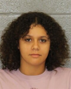Kalese Wylie Misd Crime Of Dom Violence Simple Assault