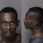 Thonny Adila Assault Simple