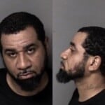 Darryl Malone Felony Hit Run Serious Injury Death