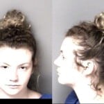 Sarah Hice Breakenter Motor Vehicle Larceny